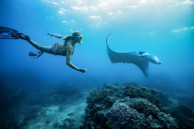 From Bali: Swim With Manta Rays in Nusa Penida - Safety and Itinerary Adjustments