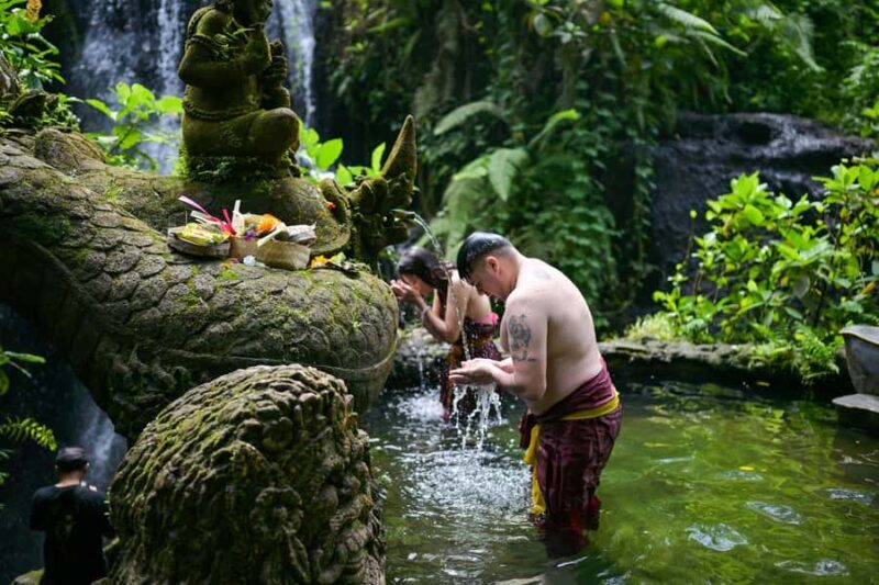 From Bali: Taman Beji Griya Waterfall Ritual & Transfer - Introduction