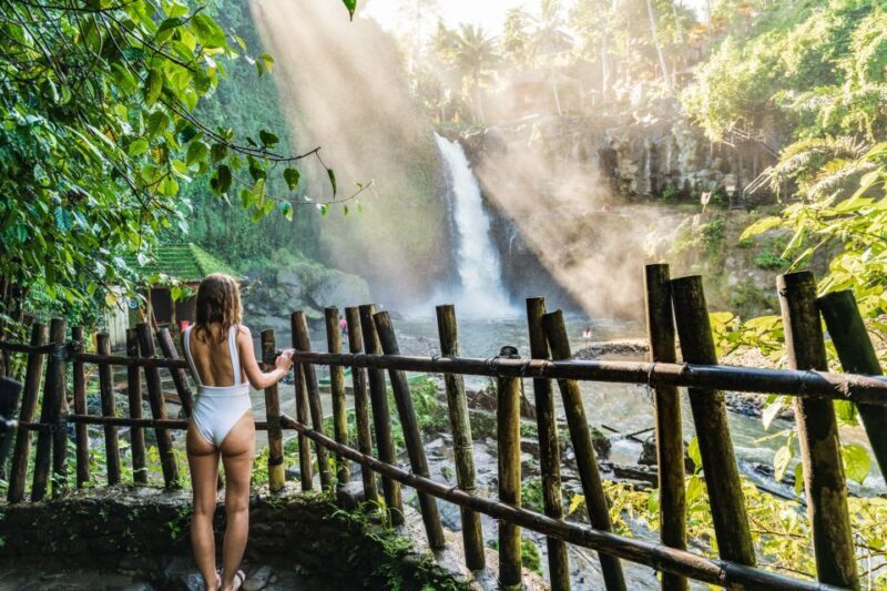 From Bali: Ubud Day Trip - Waterfall, Rice Terraces & More - The Sum Up