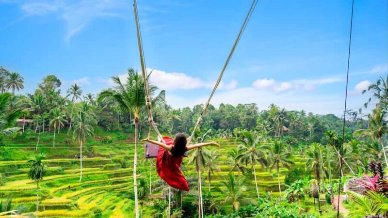 From Bali: Ubud Day Trip - Waterfall, Rice Terraces & More - Transportation and Tour Options