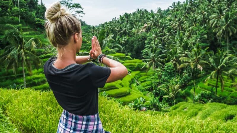 From Bali: Ubud Day Trip - Waterfall, Rice Terraces & More - Final Thoughts