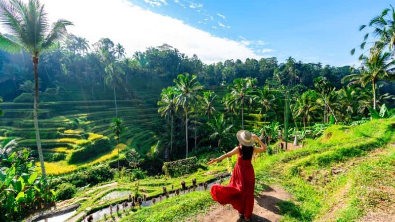 From Bali: Ubud Day Trip - Waterfall, Rice Terraces & More - FAQ