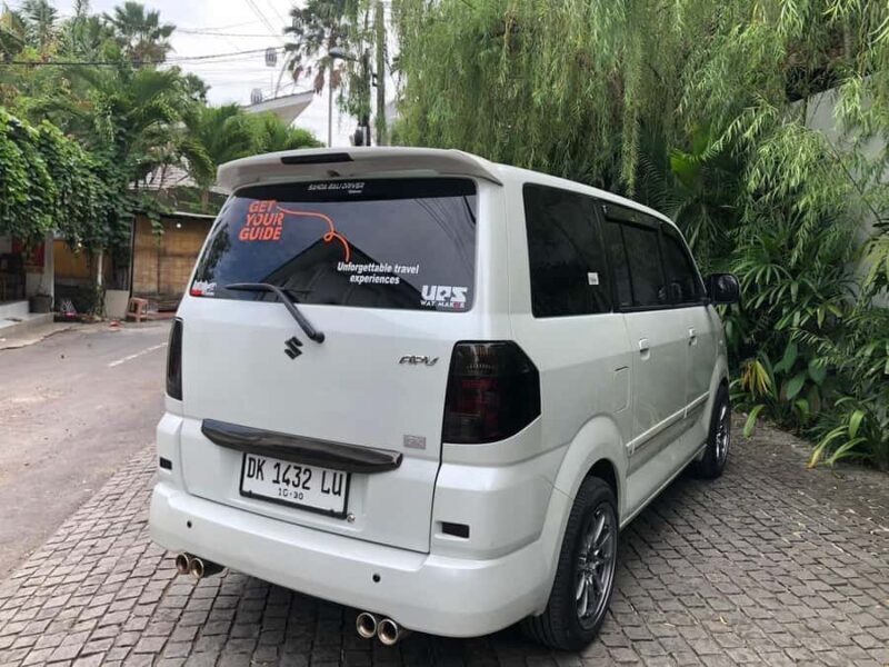 From Bali: Ubud Highlights Tour with Customizable Itinerary - The Itinerary Options & Highlights