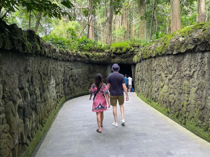 From Bali: Ubud Highlights Tour with Customizable Itinerary - The Value & Experience