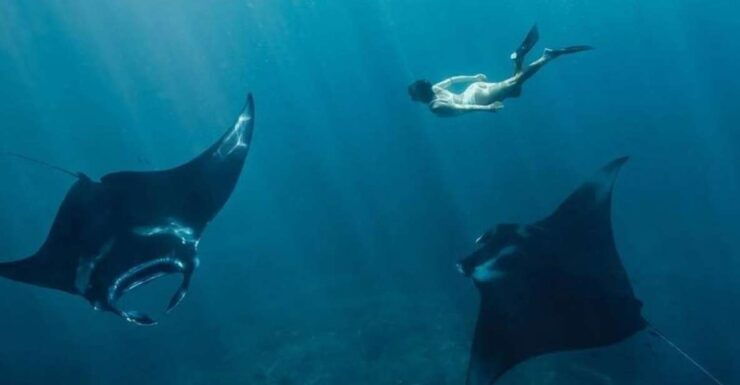 From Bali: West Nusa Penida & Snorkeling Full Day Tour - Tour Duration and Starting Times