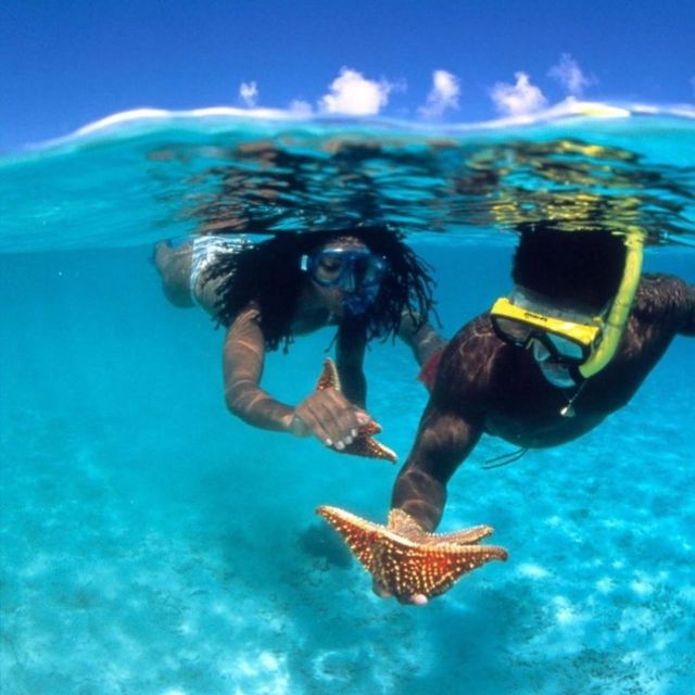 From Bali: West Nusa Penida & Snorkeling Full Day Tour - Live Tour Guide Services Provided