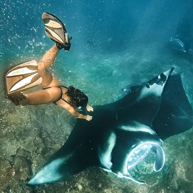 From Bali: West Nusa Penida & Snorkeling Full Day Tour - Location and ID Information for the Tour