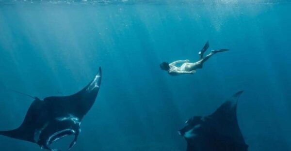 From Bali: West Nusa Penida & Snorkeling Full Day Tour - Common Questions