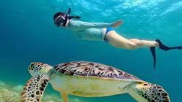 From Bali: West Nusa Penida & Snorkeling Small Group Tour - Tour Overview