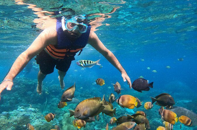 From Bali West Nusa Penida Tour and Private Snorkeling - Who Should Consider This Tour?
