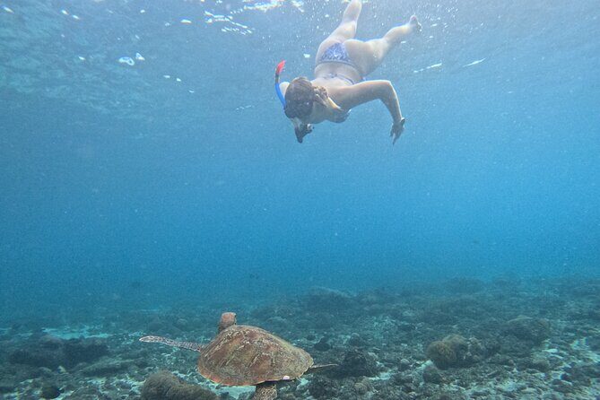 From Bali West Nusa Penida Tour and Private Snorkeling - FAQs
