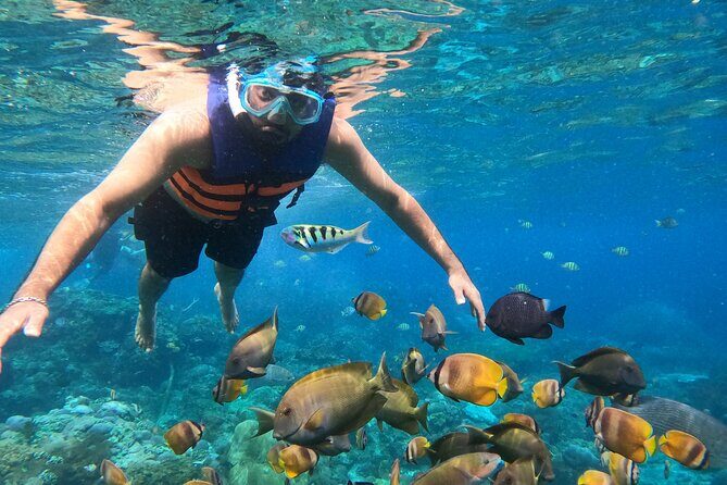 From Bali West Nusa Penida Tour and Private Snorkeling - Good To Know
