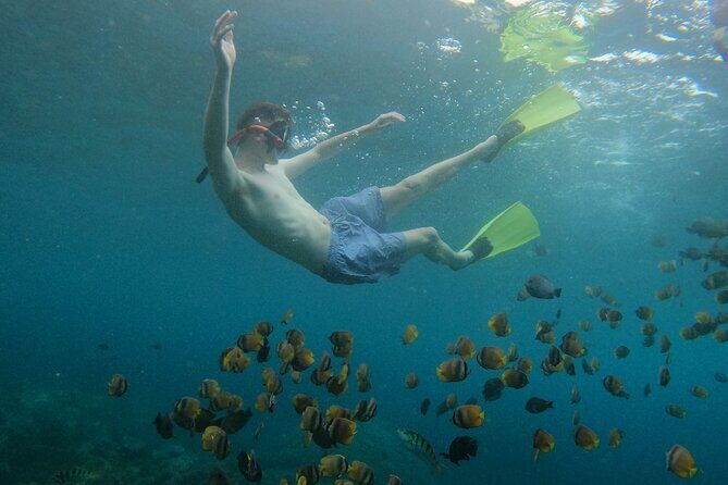 From Bali West Nusa Penida Tour and Private Snorkeling - A Detailed Look at the Tour Experience