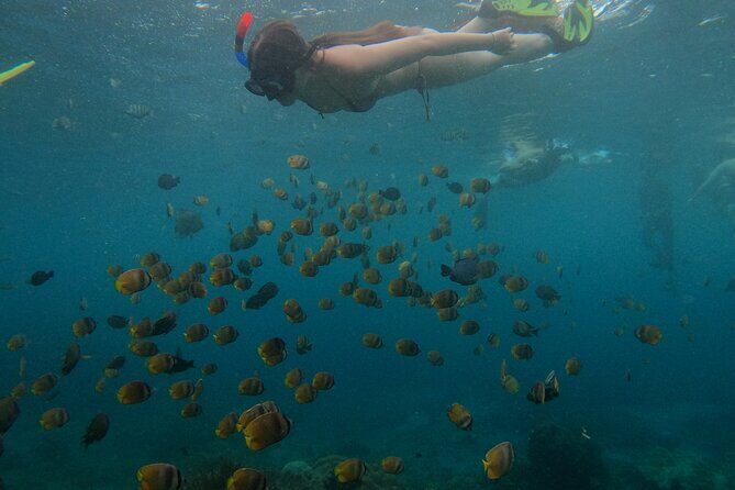 From Bali West Nusa Penida Tour and Private Snorkeling - Who Would Love This Tour?
