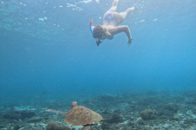 From Bali West Nusa Penida Tour and Private Snorkeling - The Sum Up