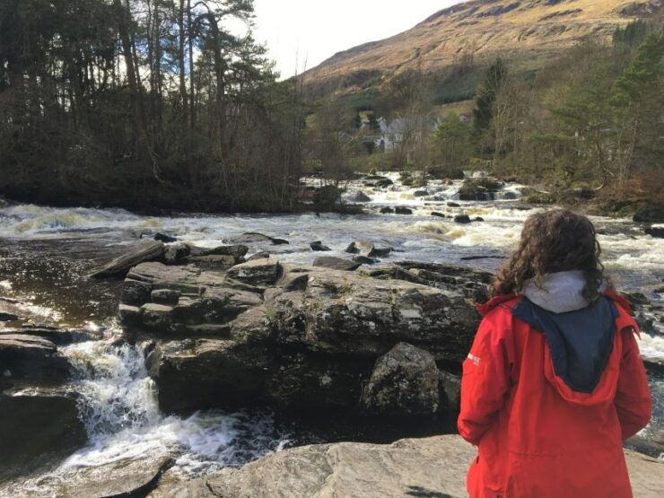From Balloch: Loch Lomond National Park Tour With 2 Walks - Tour Overview