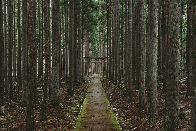 From Bamboo to Hidden Shrines: Kyotos Private Escape Tour by Car - Good To Know