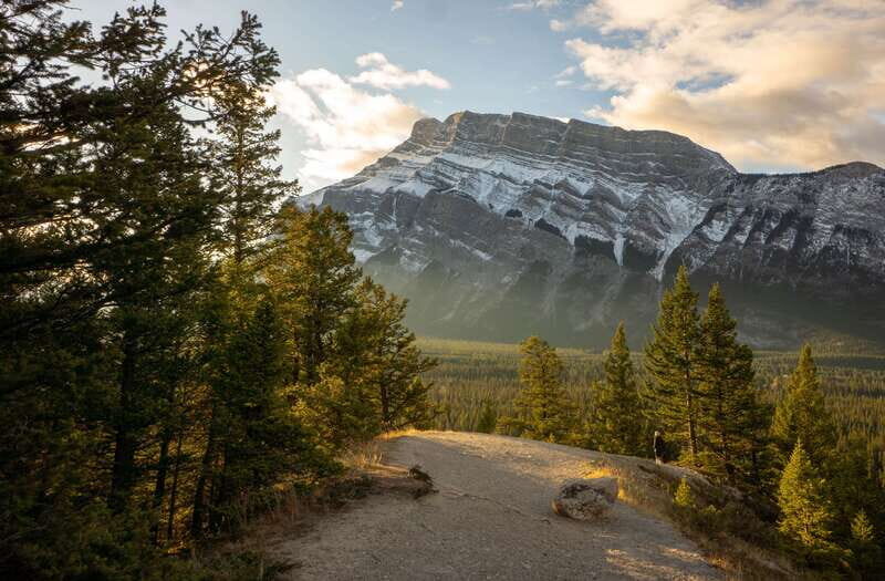 From Banff: Banff Wildlife & Scenic Highlights Premium Tour - Exploring Banff in Just 3 Hours: What to Expect
