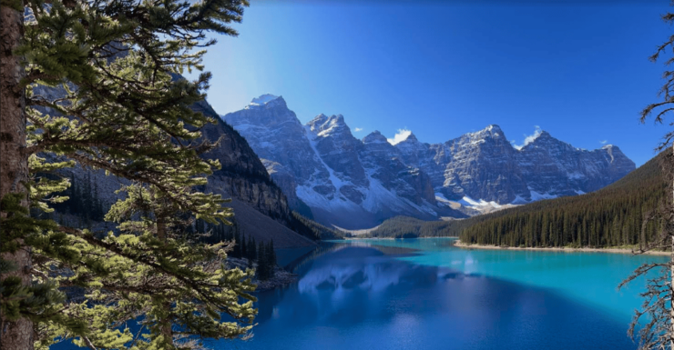 From Banff/Canmore: Lake Louise and Icefield Parkway Tour - Good To Know