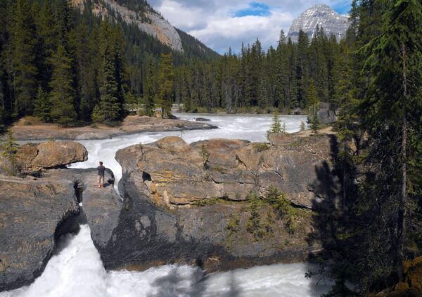 From Banff: Explore Takakkaw Falls, Emerald, & Lake Louise. - Customer Feedback