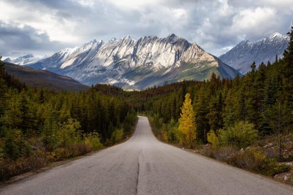 From Banff: Explore Takakkaw Falls, Emerald, & Lake Louise. - Frequently Asked Questions
