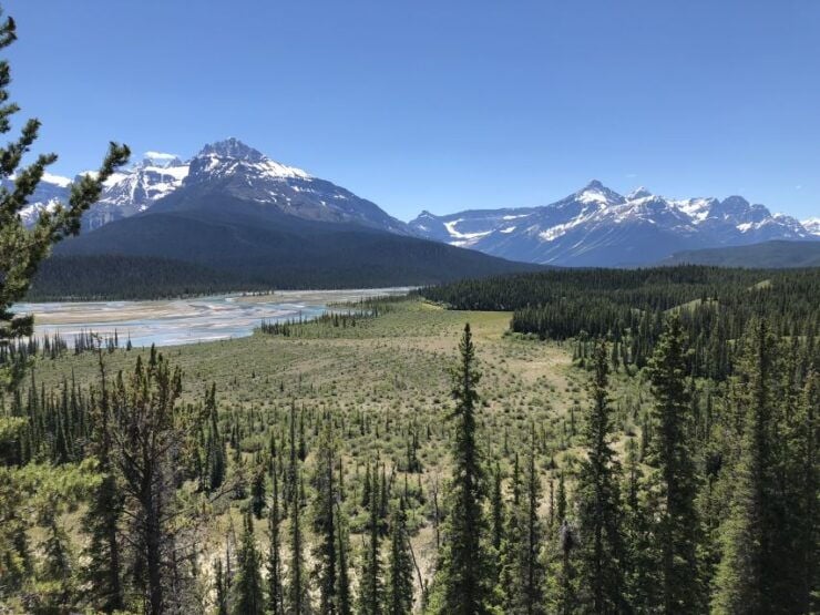 From Banff: Icefield Parkway Scenic Tour With Park Entry - Tour Overview