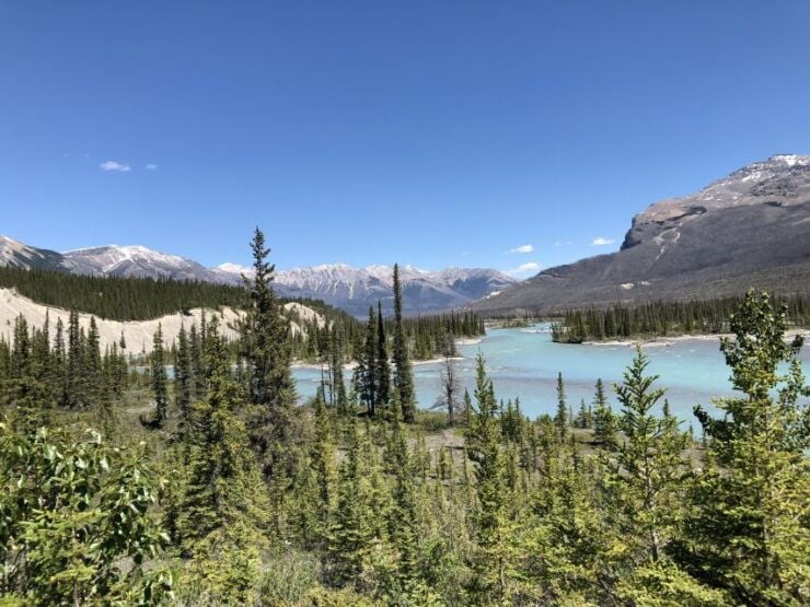 From Banff: Icefield Parkway Scenic Tour With Park Entry - Booking Details