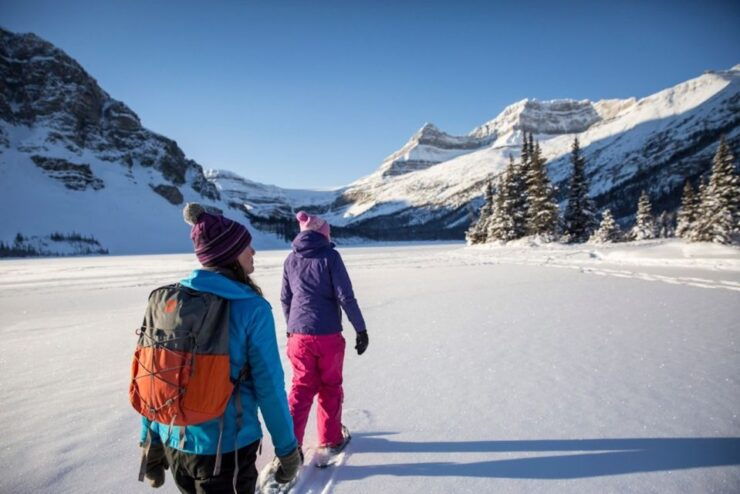 From Banff: Icefields Parkway & Abraham Lake Ice Bubbles - Tour Highlights