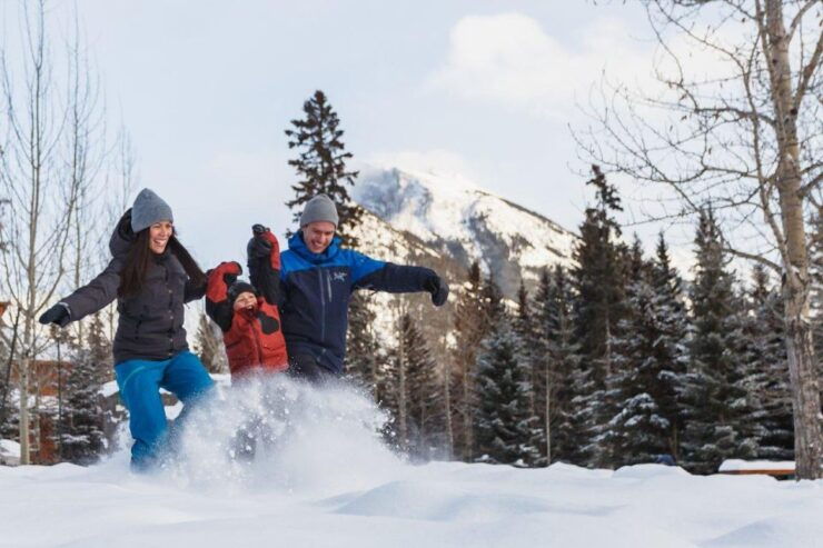 From Banff: Johnston Canyon and Lake Louise Winter Tour - Activity Details