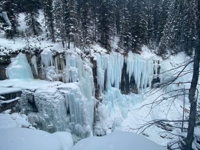 From Banff: Johnston Canyon Guided Icewalk - Highlights and Experience