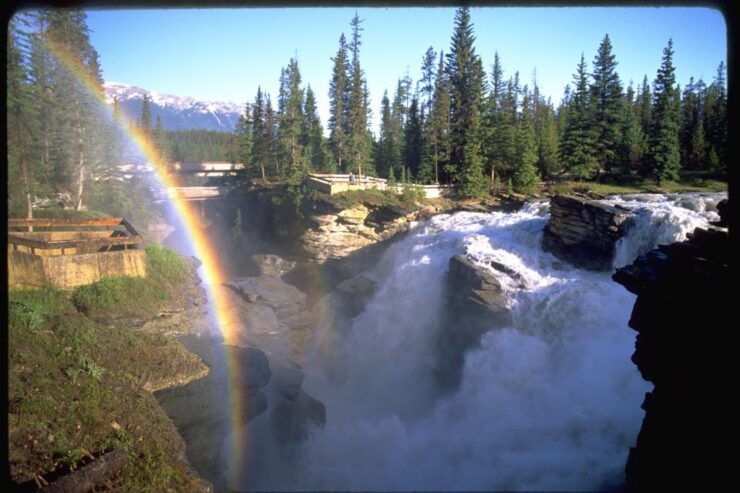 From Banff/Lake Louise: 1-Way Sightseeing Tour to Jasper - Tour Overview