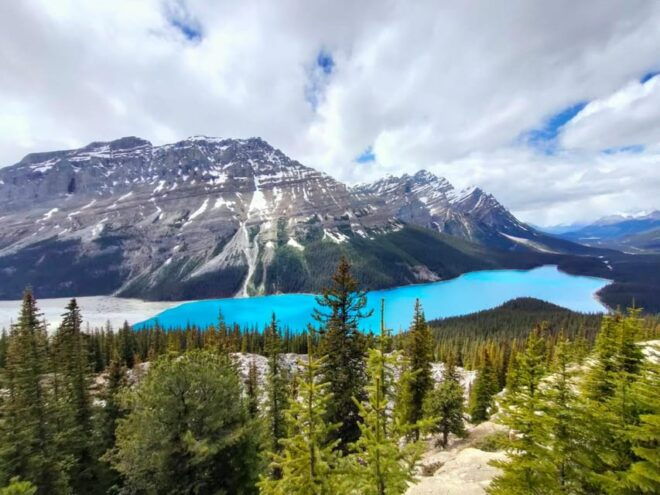 From Banff: Lake Louise, Moraine Lake, Peyto Lake 1-Day Tour - Important Information