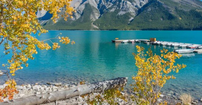 From Banff: Lake Louise, Moraine Lake, Peyto Lake 1-Day Tour - Tour Operation and Language Options