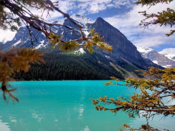 From Banff: Lake Louise, Moraine Lake, Peyto Lake 1-Day Tour - Contact Information