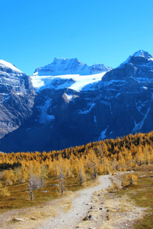From Banff or Canmore: Larch Valley & Moraine Lake - Good To Know
