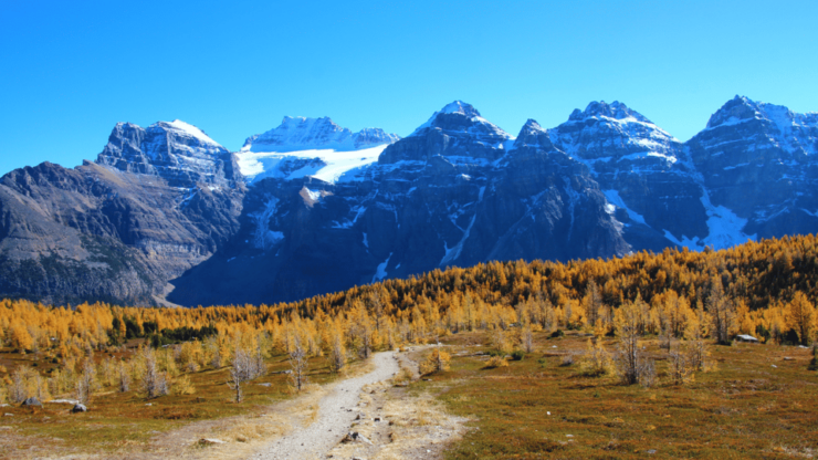 From Banff or Canmore: Larch Valley & Moraine Lake - Itinerary Details