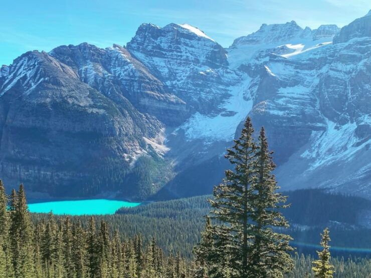 From Banff or Lake Louise: Moraine Lake & Larch Valley Hike - Experience Highlights