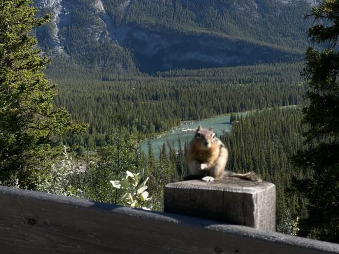 From Banff: Shuttle Bus to Moraine Lake and Lake Louise - Inclusions and Recommendations