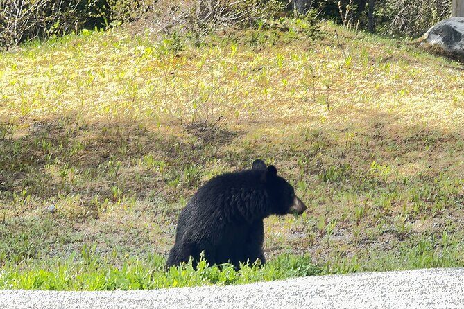 From Banff: Shuttle Service to Moraine Lake & Lake Louise - Considerations for Travelers
