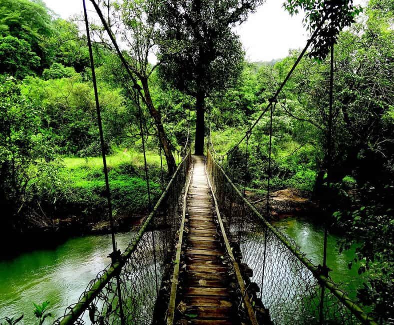 From Bangalore: 7 Days Coorg & Hassan Heritage Private Tour - The Sacred and Artistic Heritage of Hassan