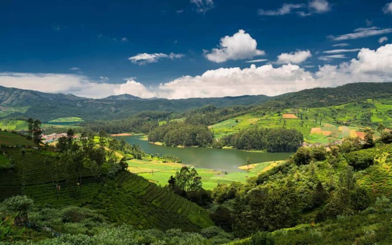 From Bangalore: 7 Days Coorg & Hassan Heritage Private Tour - The Sum Up