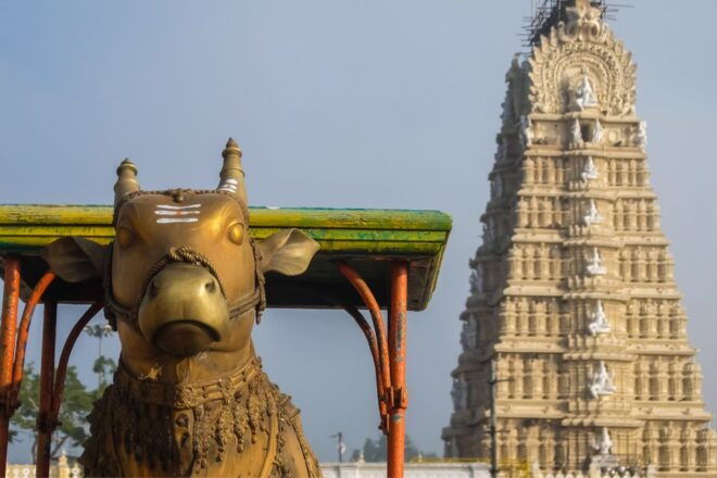From Bangalore: Mysore Guided Day Tour With Transfers - Detailed Tour Description