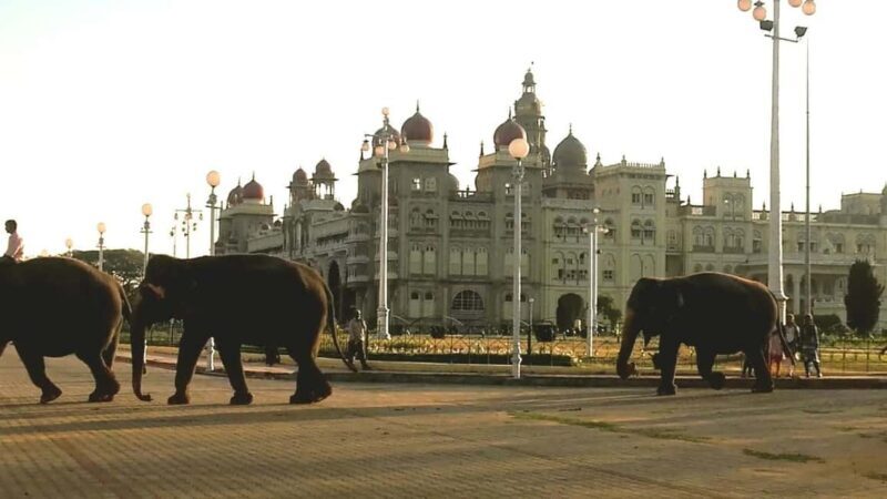 From Bangalore : Mysore Sightseeing full day tour - From Bangalore: Mysore Sightseeing Full Day Tour
