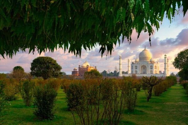 From Bangalore:Taj Mahal and Agra Private Guided Tour - Common Questions