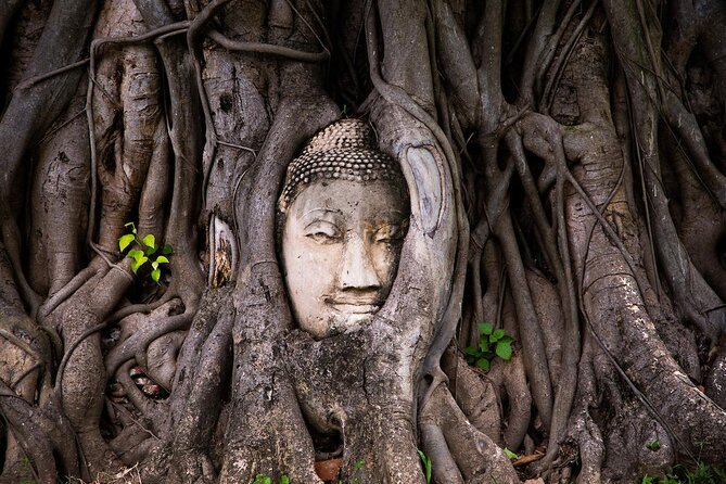 From Bangkok : Ancient Ayutthaya Day Trip Private & Guide - Inclusions