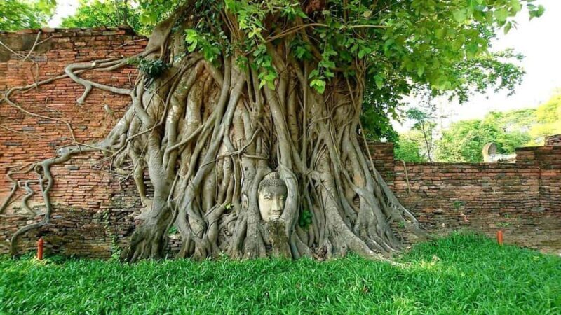 From Bangkok: Ayutthaya 2 Days 1 Night Heritage Escape - Getting to Know the Ayutthaya Heritage Tour