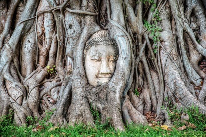 From Bangkok: Ayutthaya & Ayothaya Floating Market Day Trip - Description of Ayutthaya