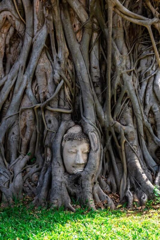 From Bangkok: Ayutthaya Private Day Trip - Considerations and Tips