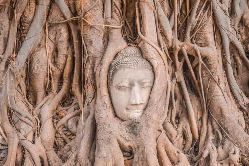 From Bangkok: Ayutthaya Temples and Boat Tour With Lunch - Good To Know