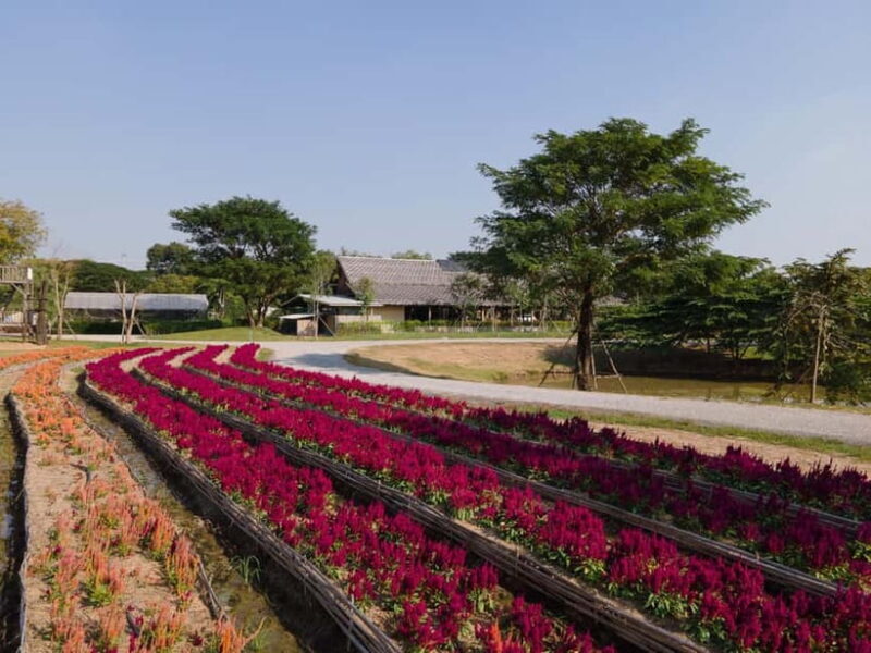 From Bangkok: Ayutthaya Temples & Gallery Boathouse Tour - Exploring the Day in Detail